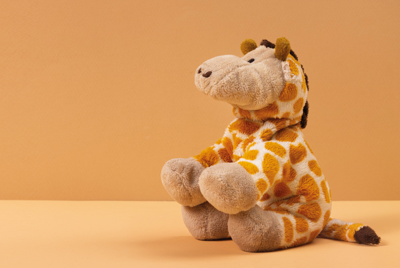 As Férias da Girafa Joshie