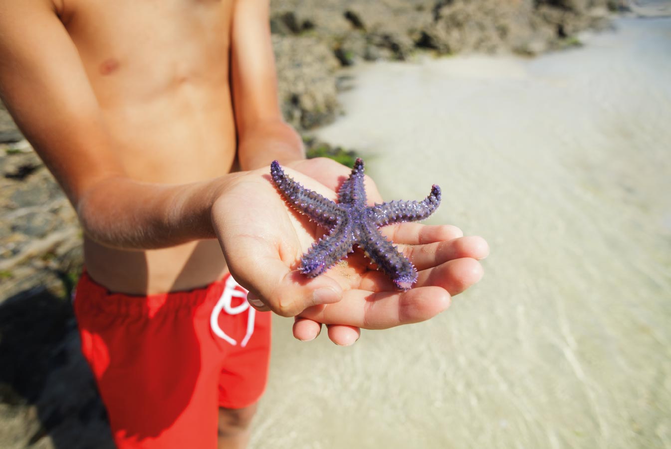 O Pequeno gesto fica Grande!