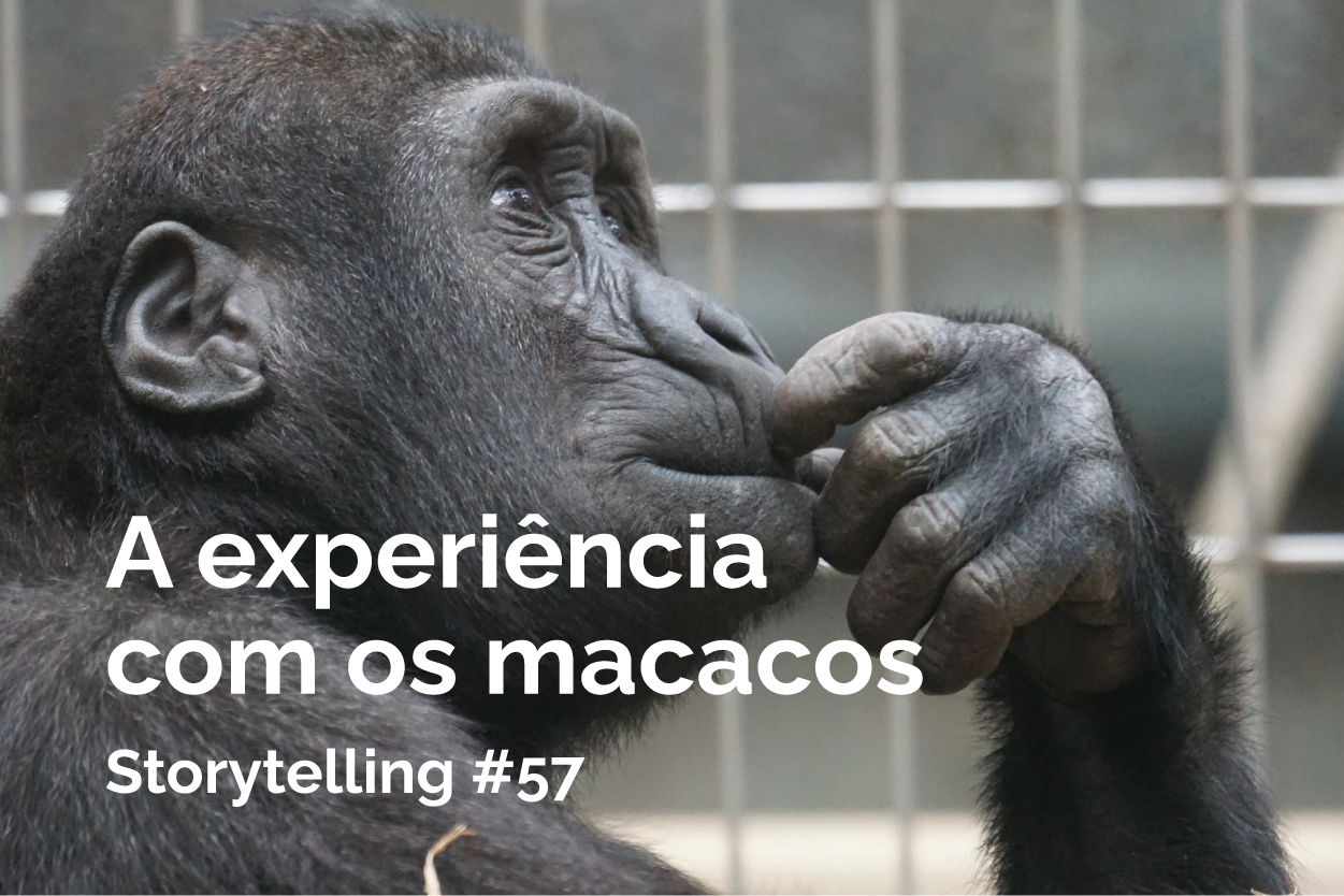 A Experiência com os Macacos