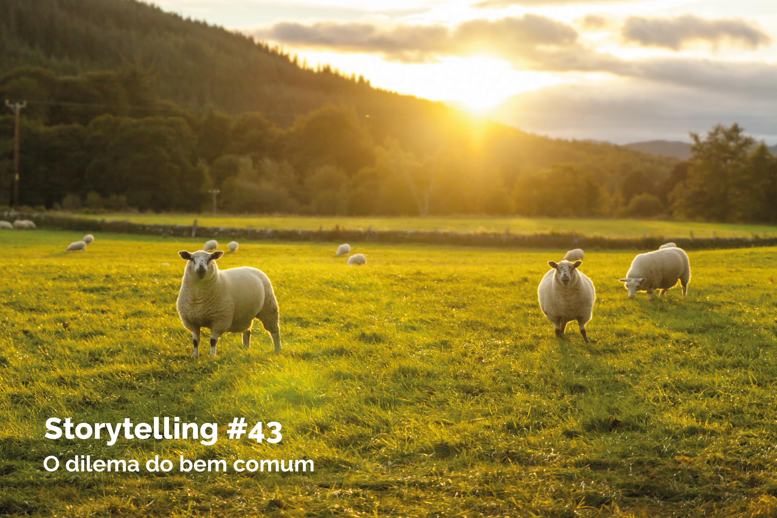 O dilema do bem comum