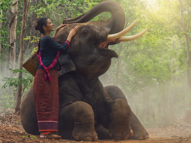 O Homem Cego e o Elefante