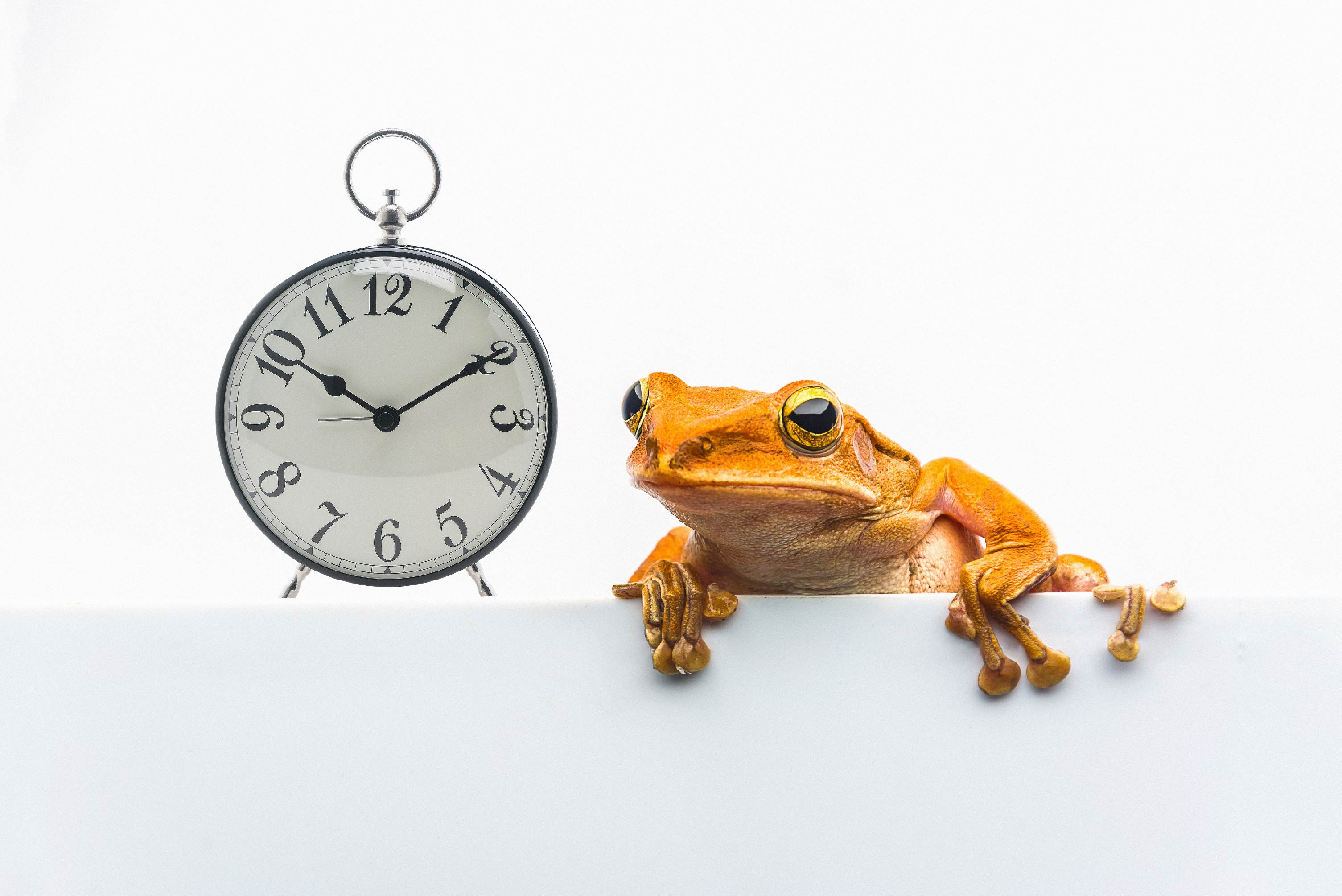 Pensar no Longo Prazo Num Mundo de Curto Prazo