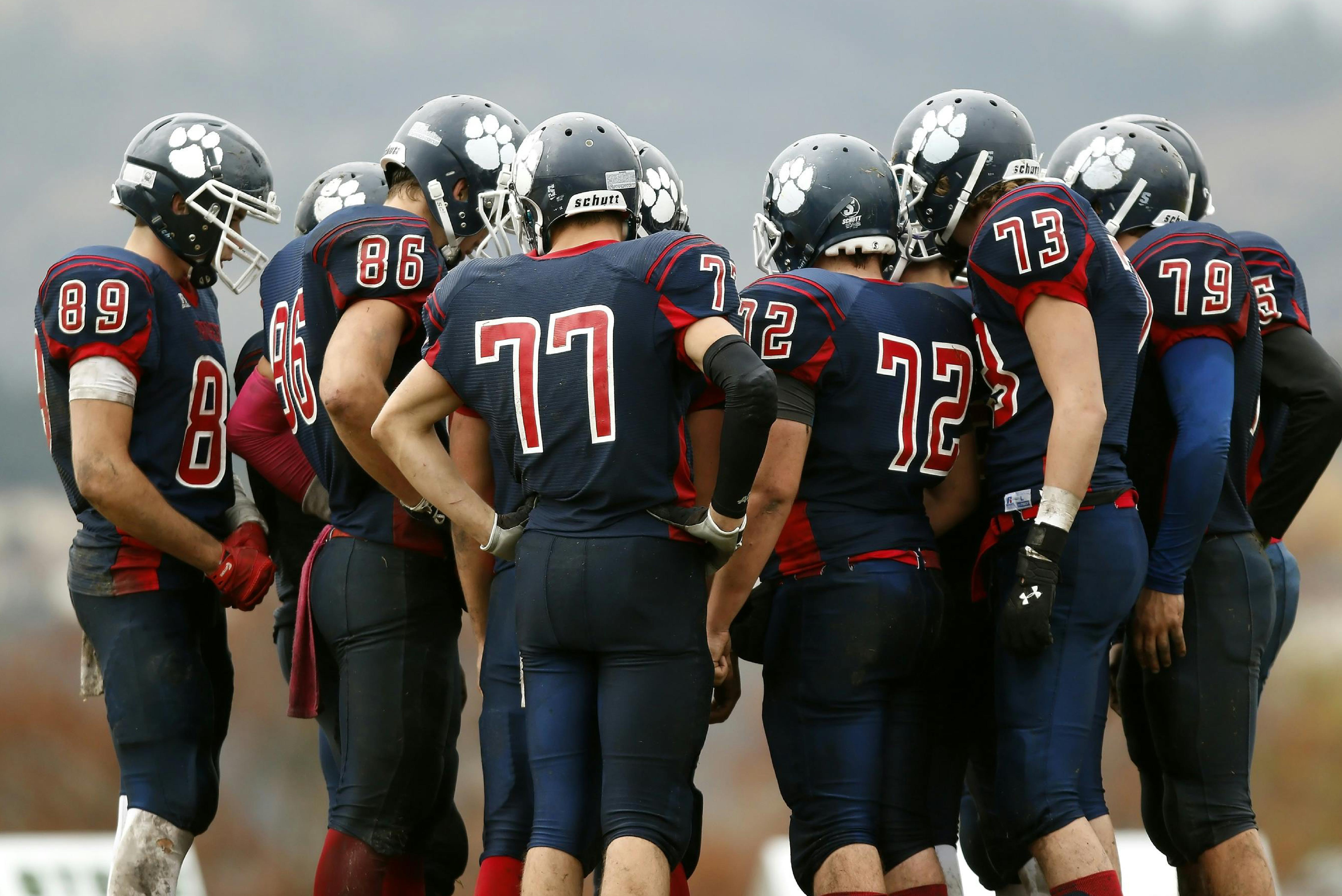 A Arte de Liderar Colegas na Equipa