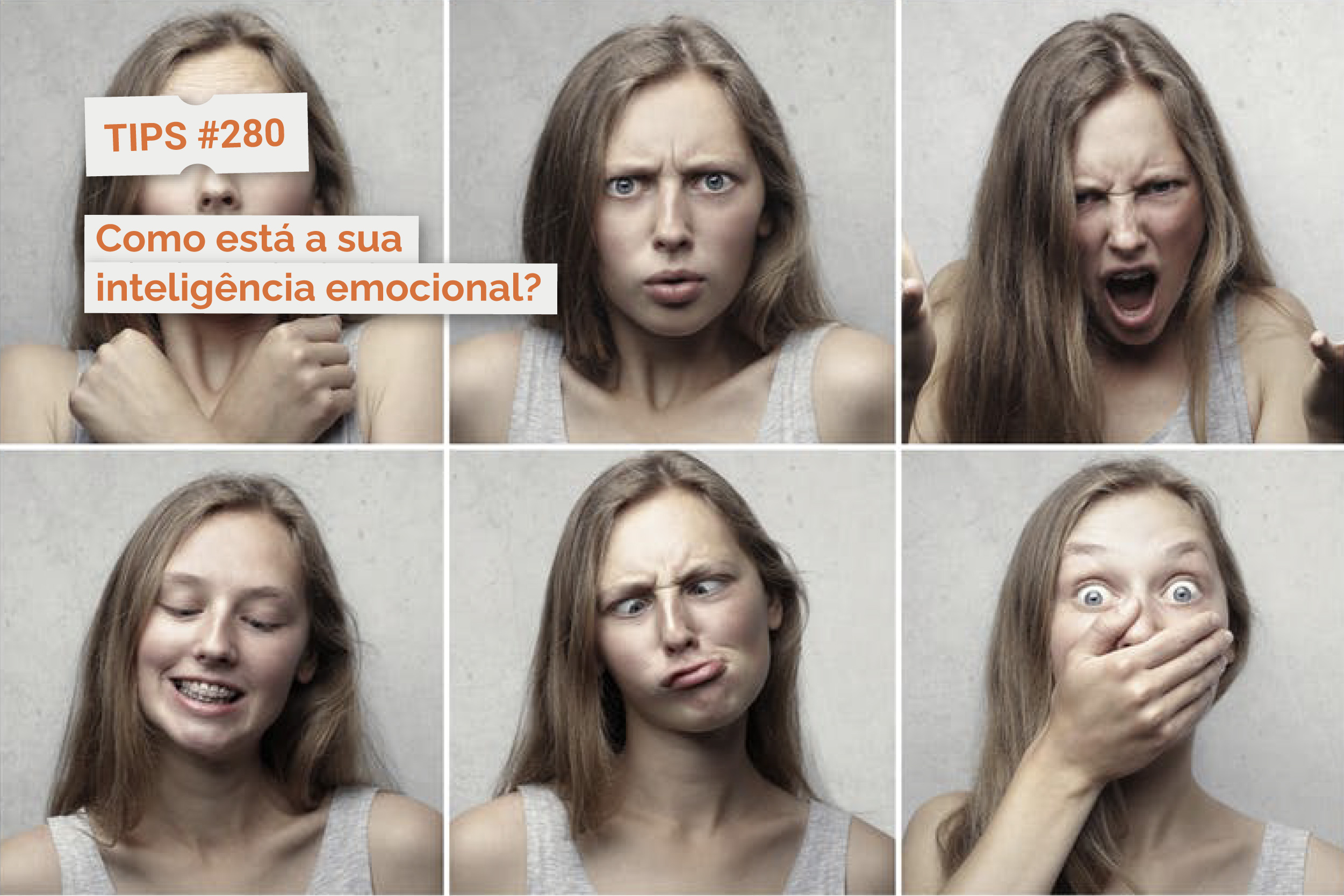 Como está a sua inteligência emocional?